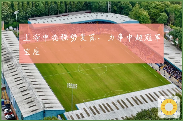 上海申花强势复苏，力争中超冠军宝座